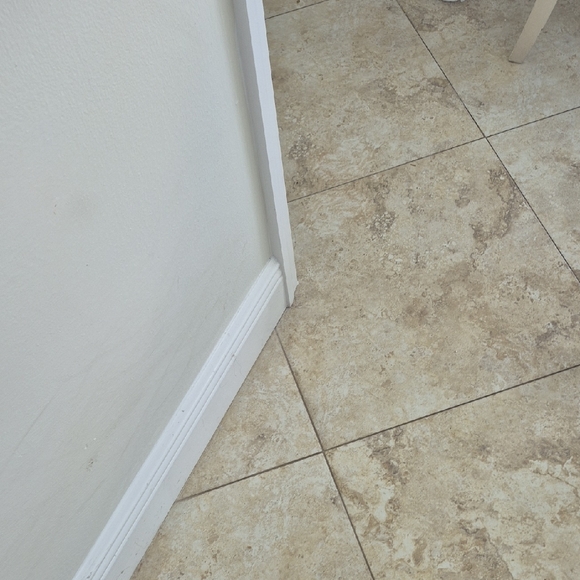 VENUS Black Sequin Lace Long Sleeve Blouse. Women Plus 2x - Picture 2 of 12